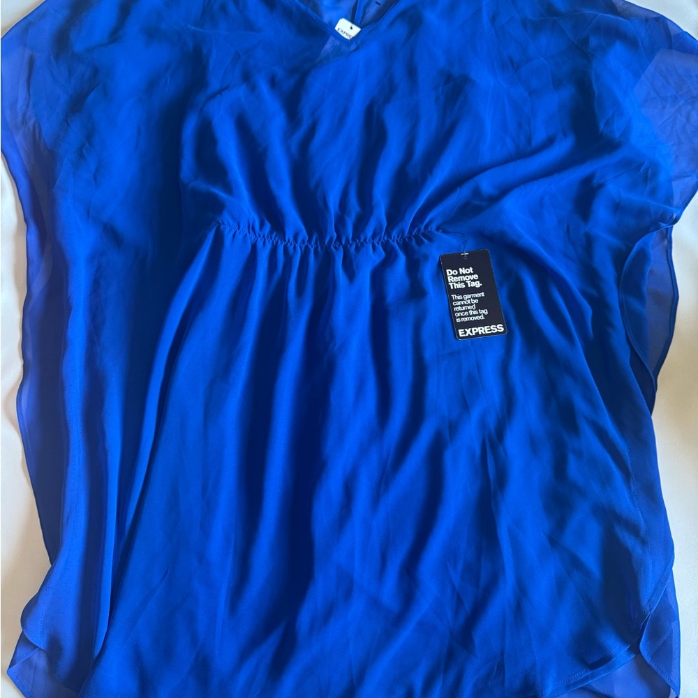 Express Blue Ruched Mini Dress
